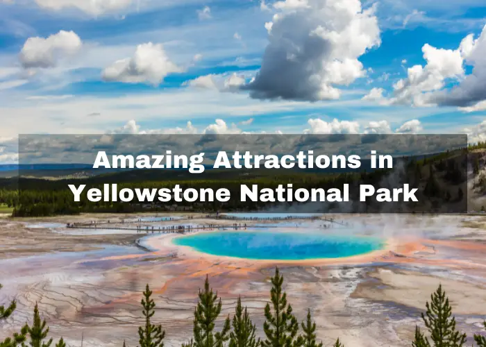 Read more about the article Top 12 Amazing Attractions in Yellowstone National Park