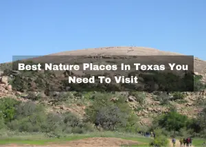 Read more about the article 12 Best Nature Places In Texas You Need To Visit