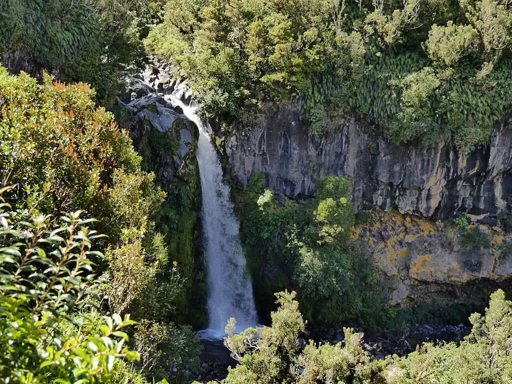 Dawson Falls