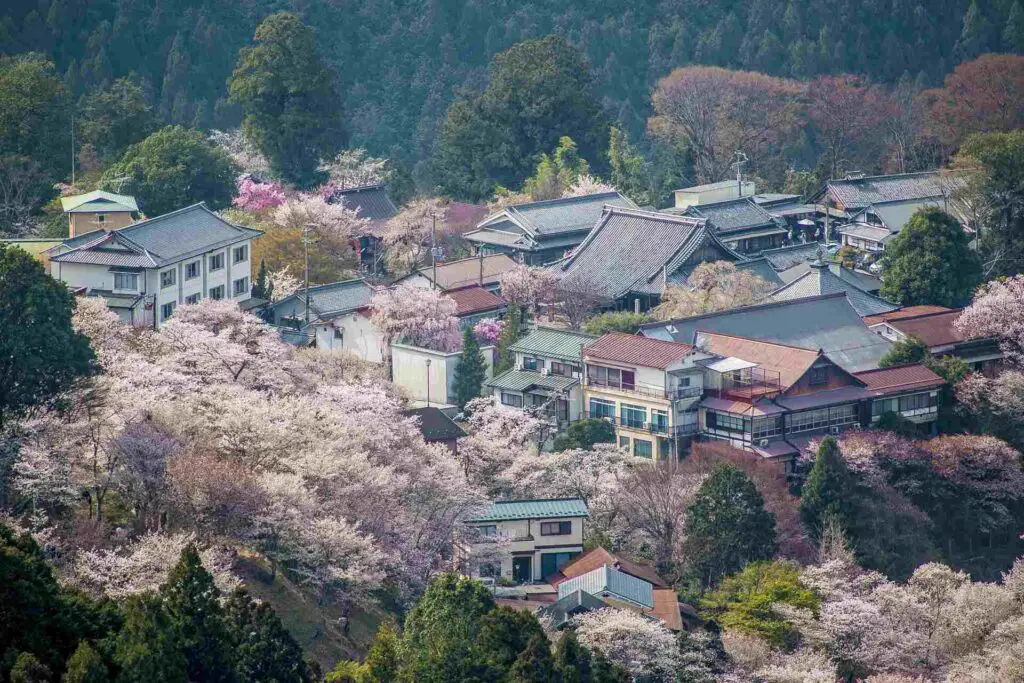 Nara