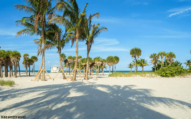 Crandon Park Beach