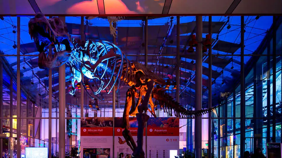 Explore the California Academy of Natural Science