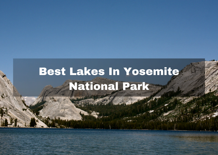 Read more about the article 5 Best Lakes In Yosemite National Park
