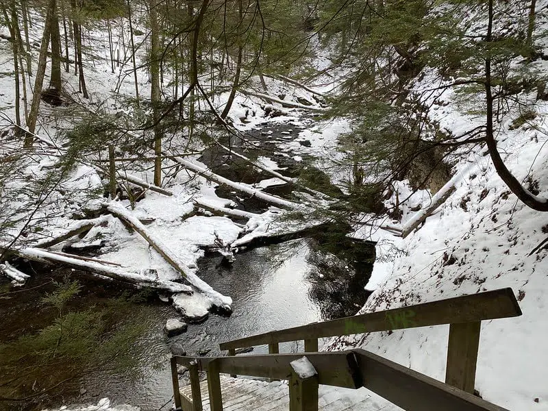 McConnells Mill State Park