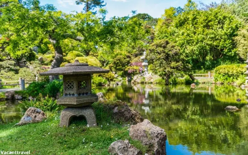 Relax at the Japanese Tea Garden