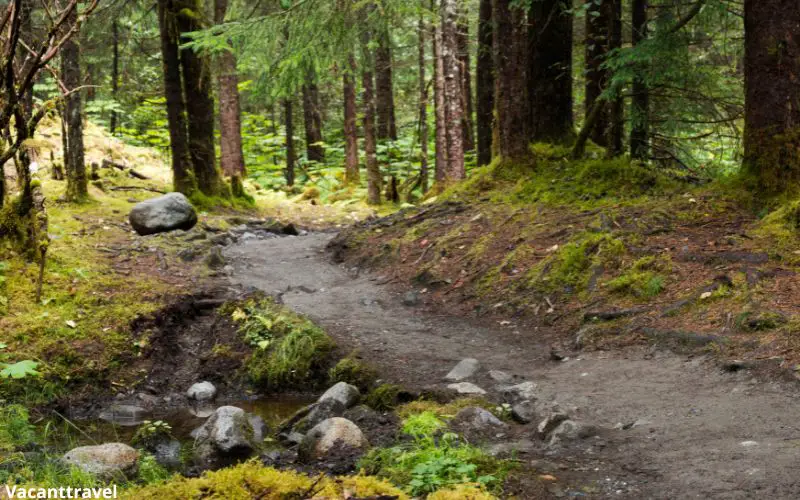 Tongass National Forest