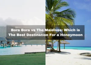 Read more about the article Bora Bora vs The Maldives: Which is The Best Destination For a Honeymoon