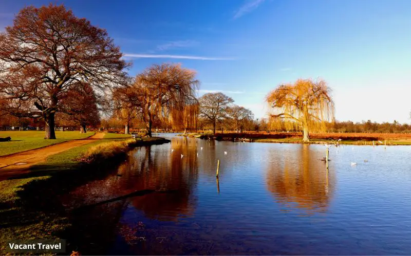 Bushy Park