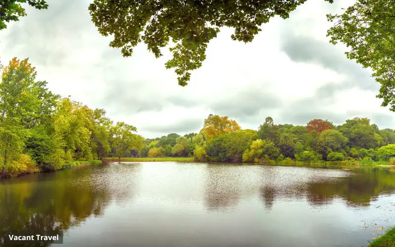 Hampstead Heath