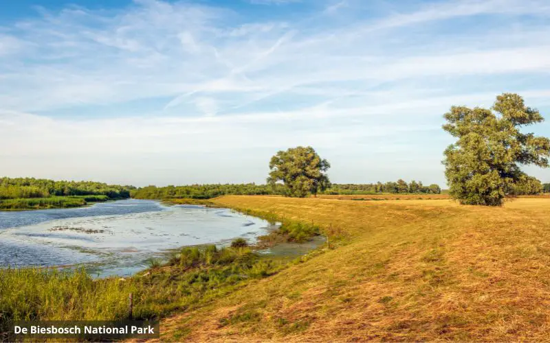 De Biesbosch National Park