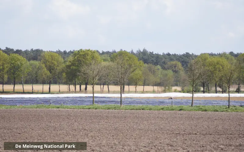 De Meinweg National Park