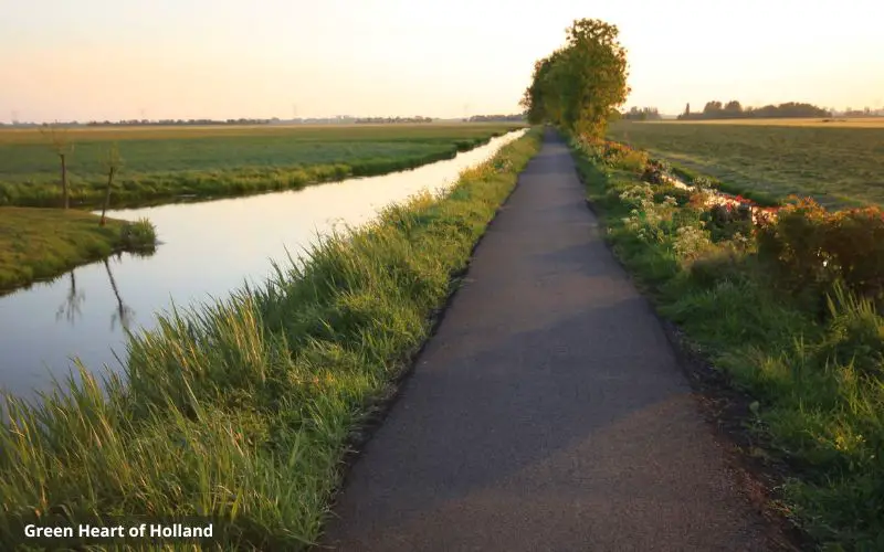 Green Heart of Holland