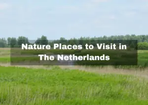 Read more about the article 10 Nature Places to Visit in The Netherlands – Natural Attractions!