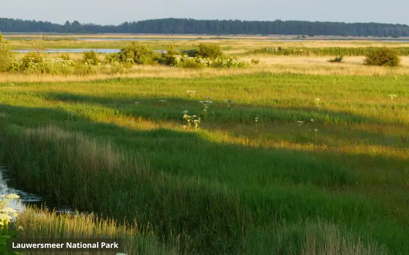 Lauwersmeer National Park