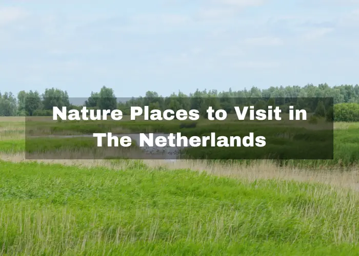 You are currently viewing 10 Nature Places to Visit in The Netherlands – Natural Attractions!