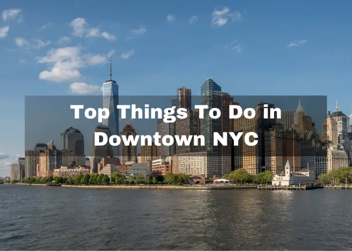 You are currently viewing 11 Top Things To Do in Downtown NYC