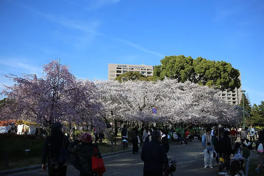 Tsuruma Park