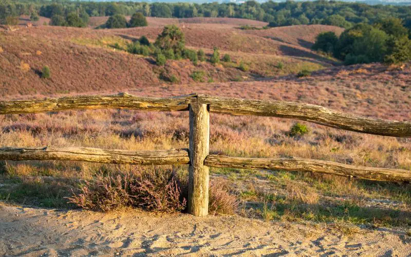 Veluwe Region