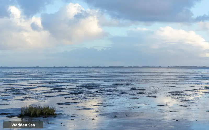 Wadden Sea