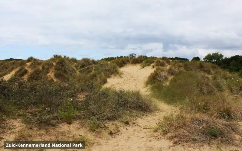 Zuid-Kennemerland National Park